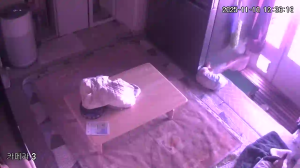 Caméra IP - South Korea