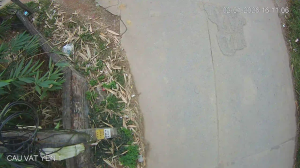 Caméra IP - Vietnam