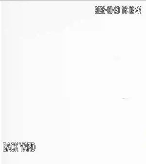 Caméra IP - South Africa