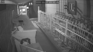 Caméra IP - South Korea