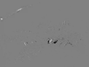 Caméra IP - Australien