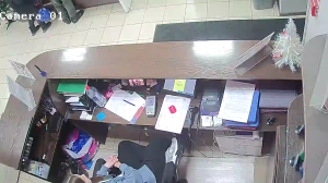 Caméra IP - Russische Föderation