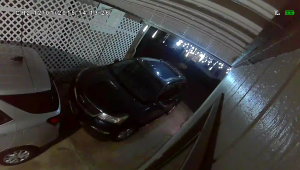 Caméra IP - United States of America