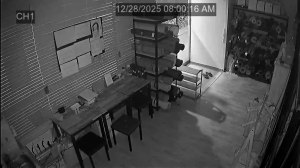 Caméra IP - República de Corea