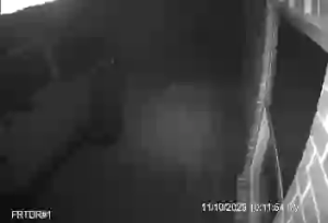 Caméra IP - États-Unis d'Amérique