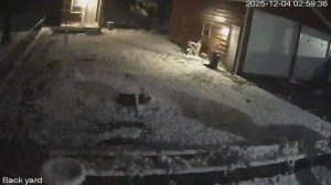 Caméra IP - United States of America