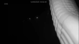 Caméra IP - United States of America