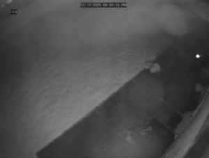 Caméra IP - United States of America