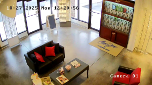 Caméra IP - Vereinigte Staaten von Amerika