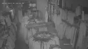 Caméra IP - Germany