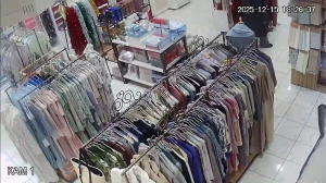 Caméra IP - Russische Föderation