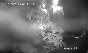 Caméra IP - Dinamarca