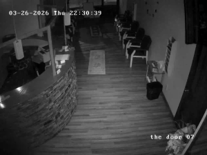 Caméra IP - Stati Uniti d'America