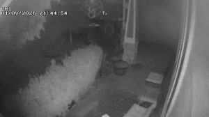 Caméra IP - United States of America