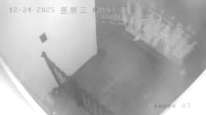 Caméra IP - Neuseeland