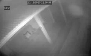 Caméra IP - Nueva Zelanda