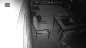 Caméra IP - United States of America