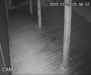 Caméra IP - Lituanie