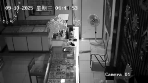 Caméra IP - Cina