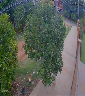 Caméra IP - Paraguay