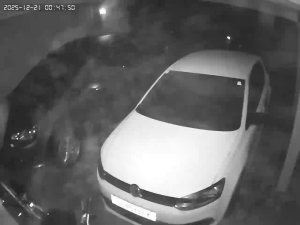 Caméra IP - Südafrika