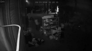 Caméra IP - United States of America