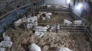 Caméra IP - Frankreich