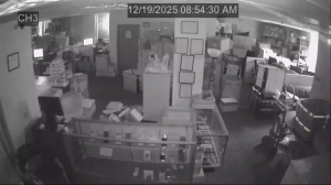 Caméra IP - Stati Uniti d'America