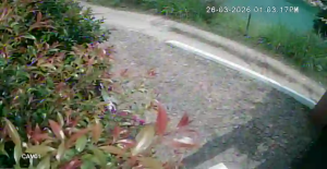 Caméra IP - Colombia