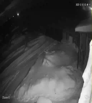 Caméra IP - Kazajistán