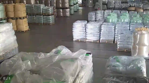 Caméra IP - China