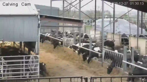 Caméra IP - Ireland