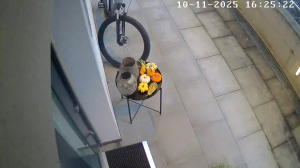 Caméra IP - Switzerland