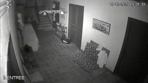 Caméra IP - Francia