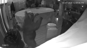 Caméra IP - États-Unis d'Amérique