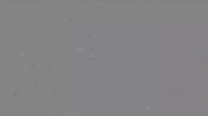 Caméra IP - Curaçao