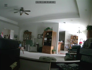 Caméra IP - United States of America