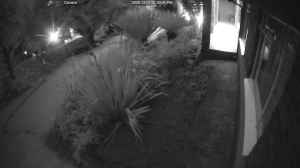 Caméra IP - South Africa