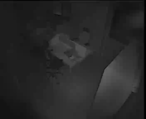 Caméra IP - Égypte