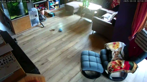 Caméra IP - Deutschland