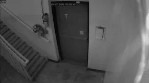 Caméra IP - États-Unis d'Amérique