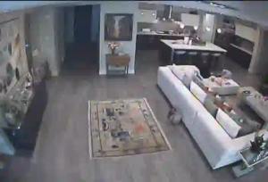 Caméra IP - États-Unis d'Amérique