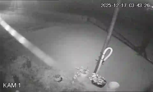 Caméra IP - Bulgarie