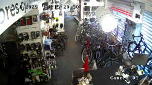 Caméra IP - Denmark