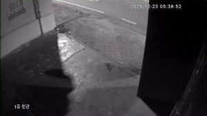 Caméra IP - República de Corea