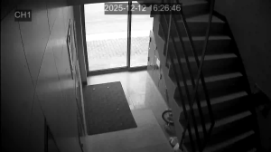 Caméra IP - Corée du Sud