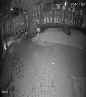 Caméra IP - Südafrika