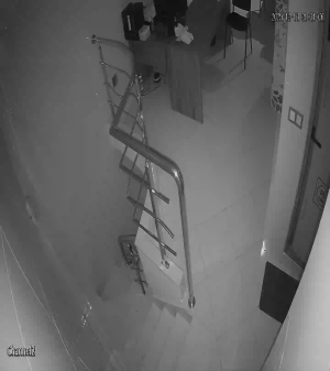 Caméra IP - Vue en direct