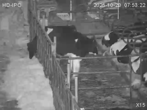 Caméra IP - Países Bajos