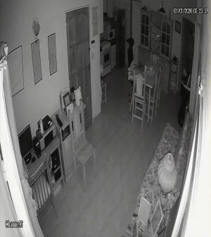 Caméra IP - Argentina